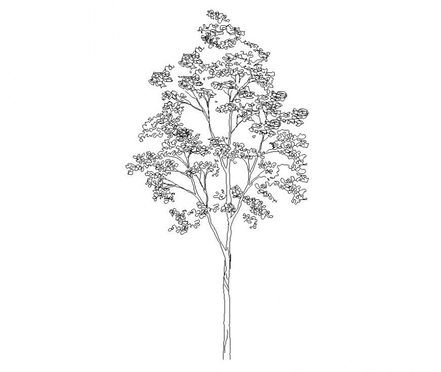 Landscaping trees detail CAD block layout file in autocad format