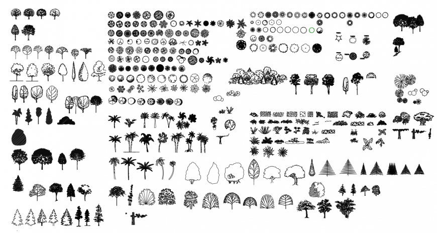 Landscaping trees detail elevation 2d view autocad file