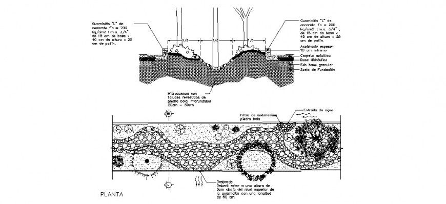 Landscaping trees elevation and plan 2d view CAD block autocad file
