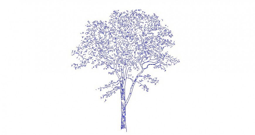 Landscaping units detail of trees autocad file