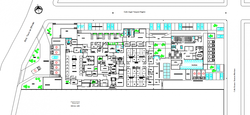 Large Hospital area 6 010.20 m2 lion colony