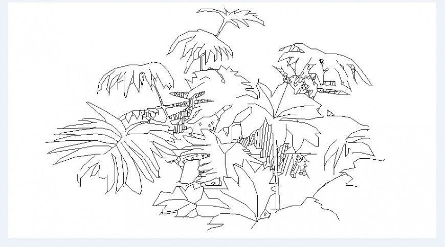 Leaf tree plant elevation block drawing details dwg file