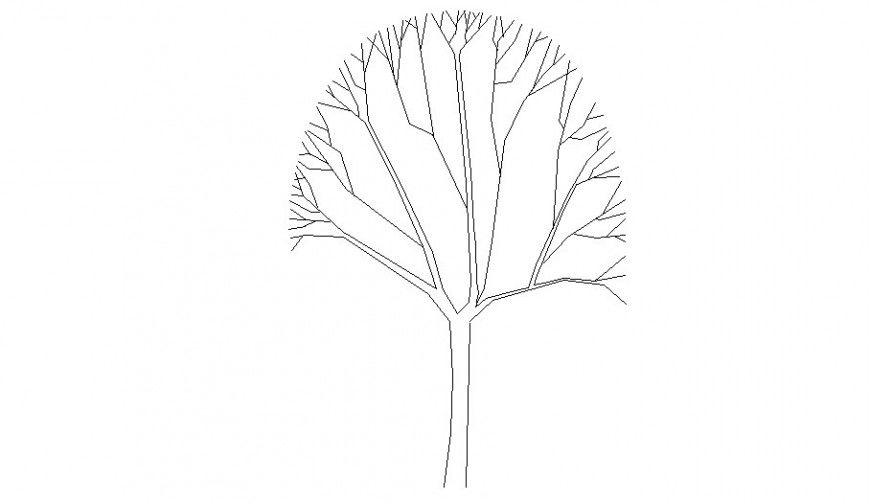 Line drawing of landscaping trees 2d view in autocad