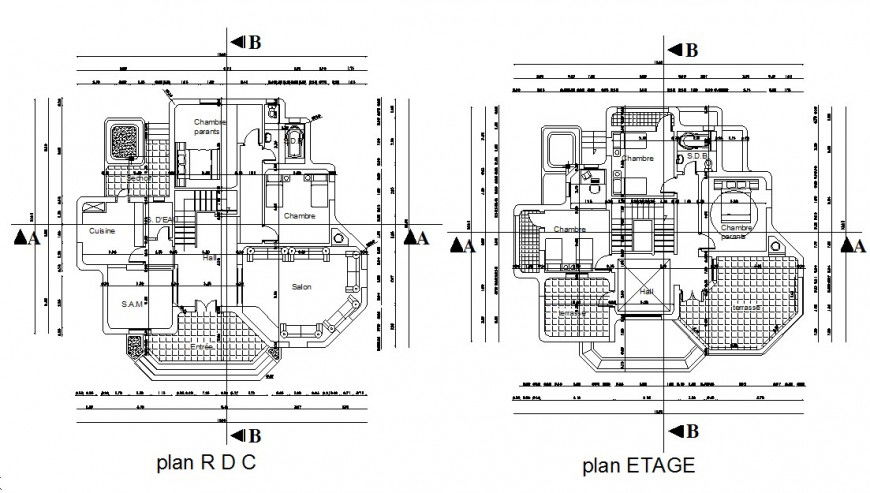 Luxuries villa floor plan distribution with furniture cad drawing details dwg file