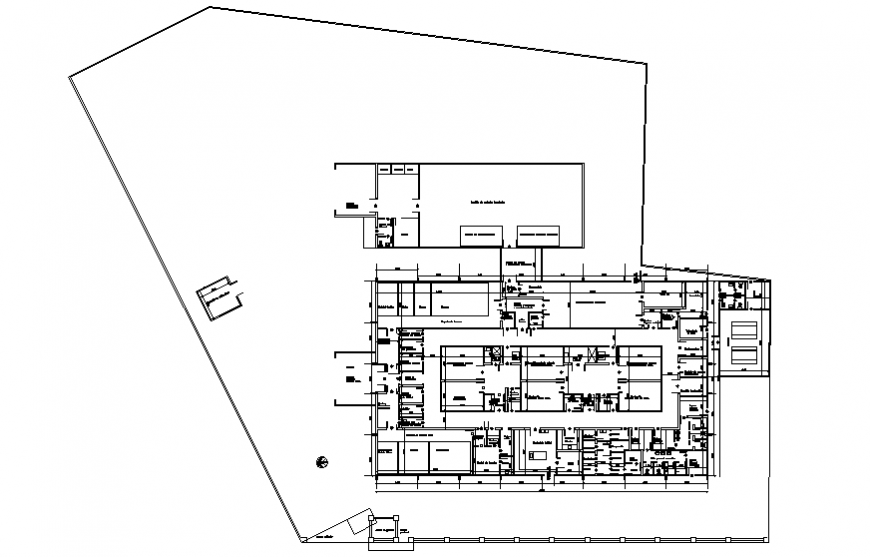 Luxurious Villa Framing Plan and Structural CAD Drawing
