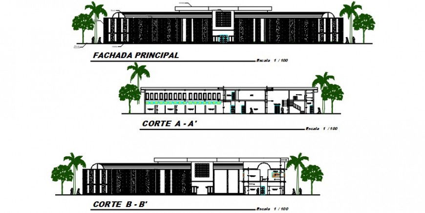 Main elevation and main and back section details of hospital building dwg file