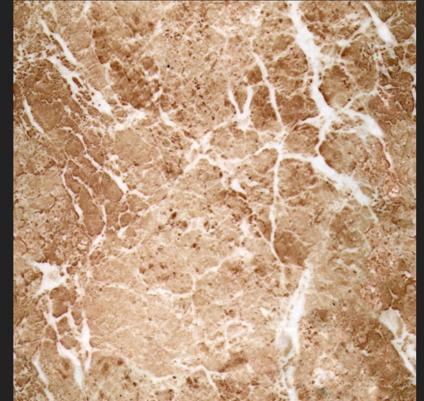 High-Resolution Marble Texture JPEG Image Download