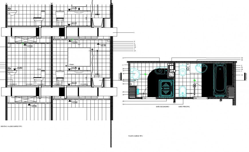 Master bedroom and common toilet plan layout file