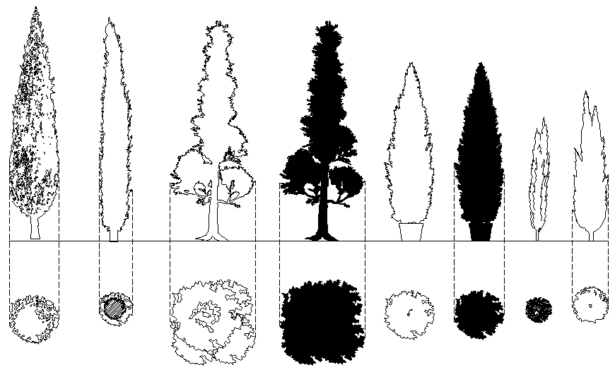 Miscellaneous cypress tree front and top view blocks cad drawing details dwg file