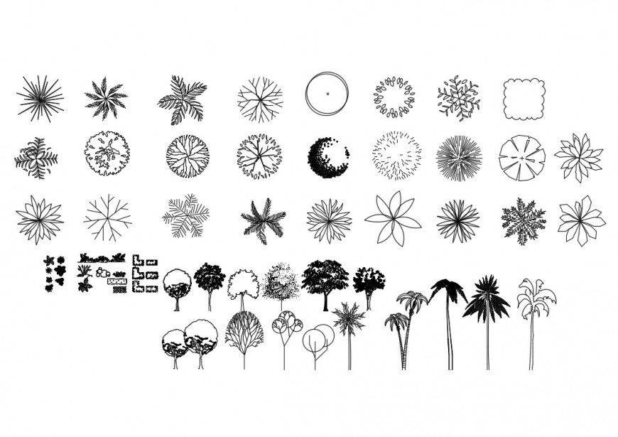 Miscellaneous garden tree and plant blocks cad drawing details dwg file