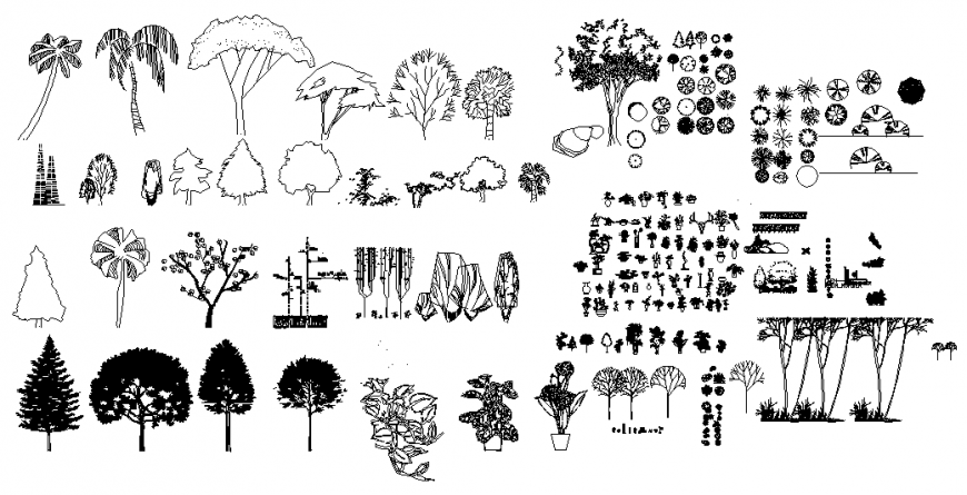 Miscellaneous landscape plant blocks elevation library dwg file