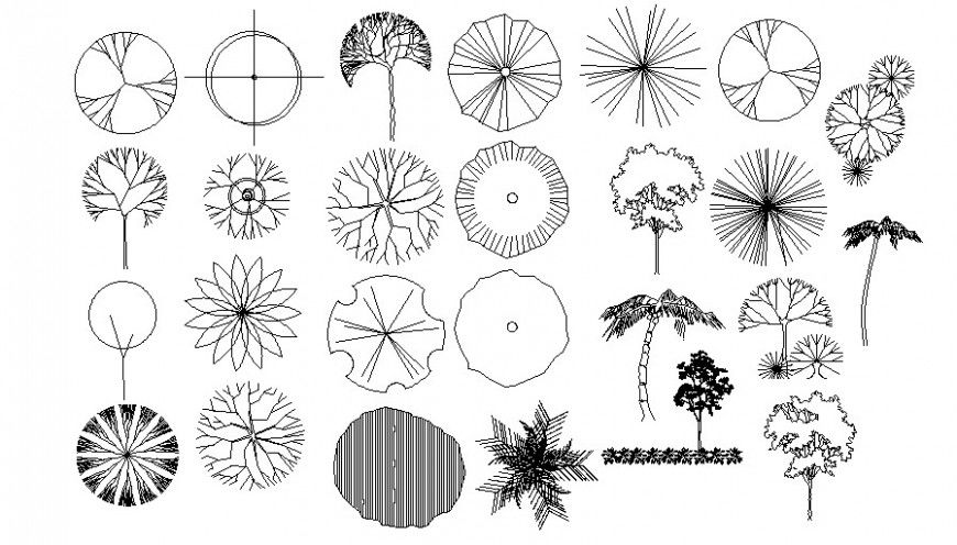Miscellaneous tree plant 2d elevation block drawing details dwg file