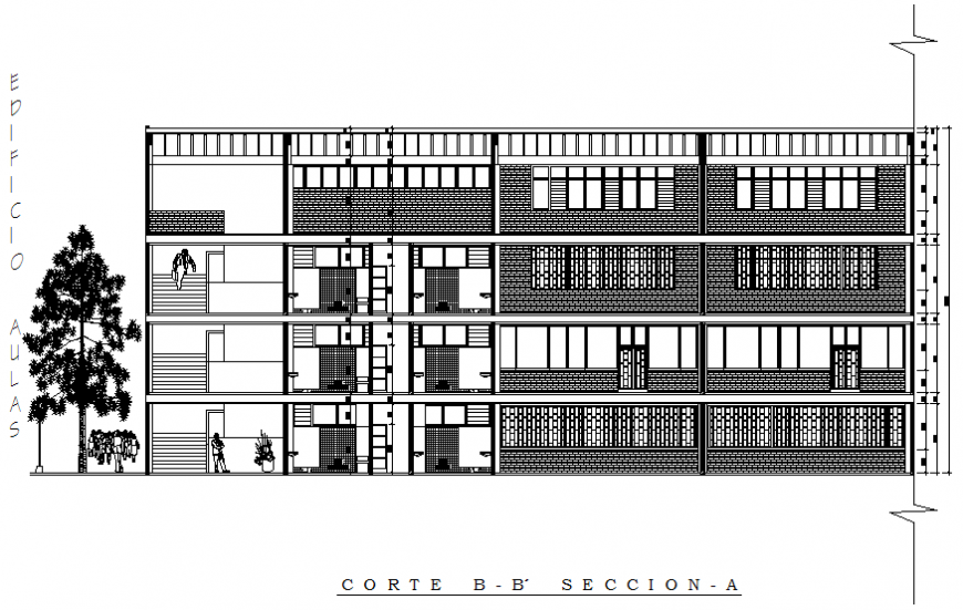 Multi-level primary school main elevation cad drawing details dwg file