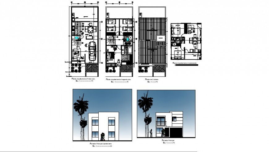 Multifamily house floor plan and elevation in auto cad