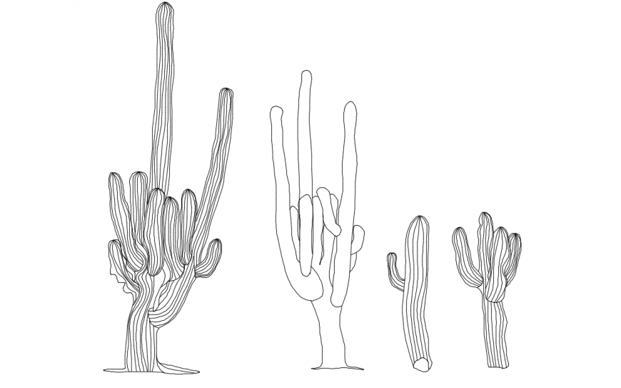 Multiple cactus plant elevation block drawing details dwg file