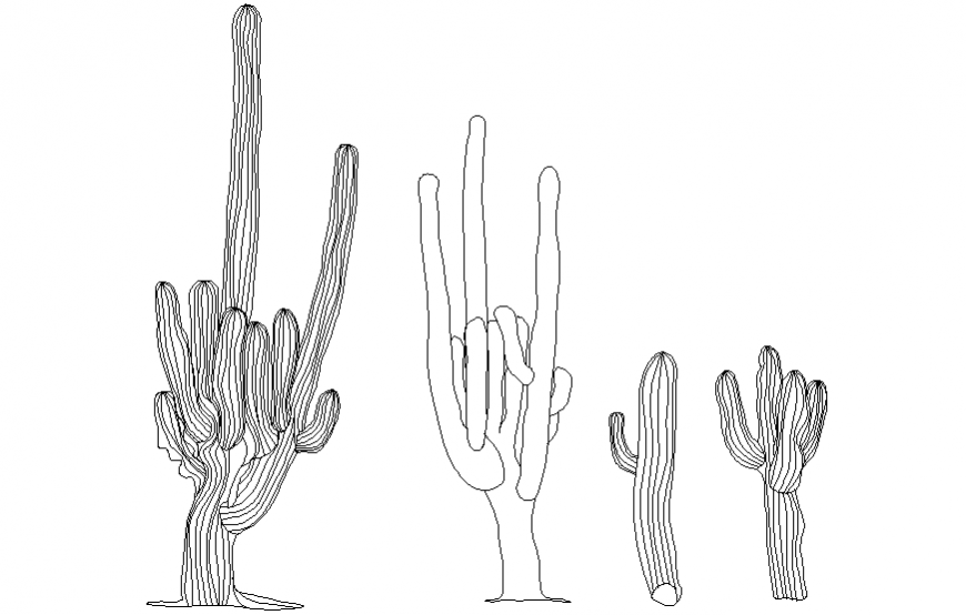 multiple cactus tree plant blocks cad drawing details dwg file