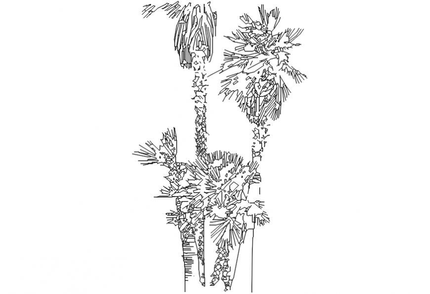 Multiple coconut tree elevation block cad drawing details dwg file