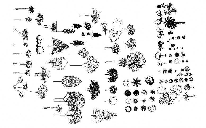 Multiple garden tree and plants 2d elevation blocks cad drawing details dwg file