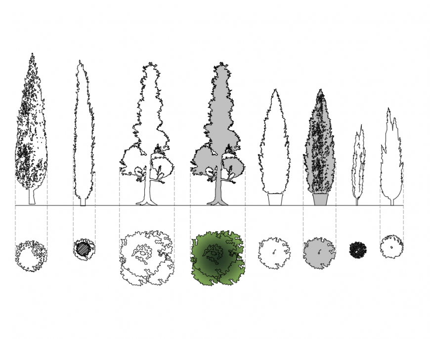 Multiple garden trees and plants cad blocks details dwg file