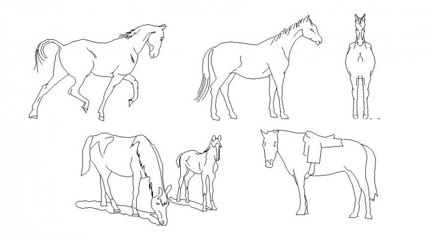 Multiple horses 2d elevation blocks cad drawing details dwg file