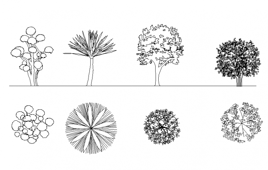 Multiple ornamental tree and plant blocks cad drawing details dwg file