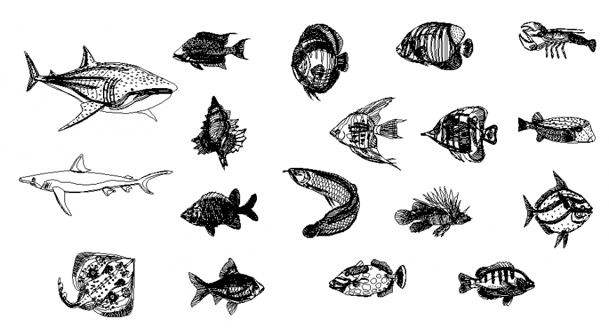Multiple sea fish blocks cad drawing details dwg file