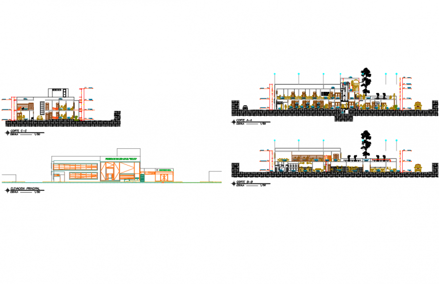 Municipal hospital building elevation and sectional details dwg file