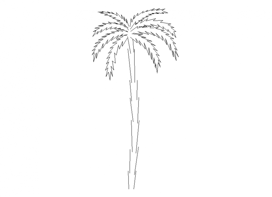 One palm tree elevation block cad drawing details dwg file