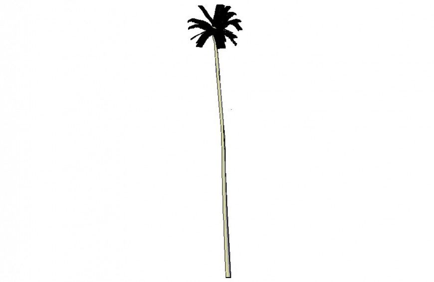 Palm coconut tree details 2d view autocad file
