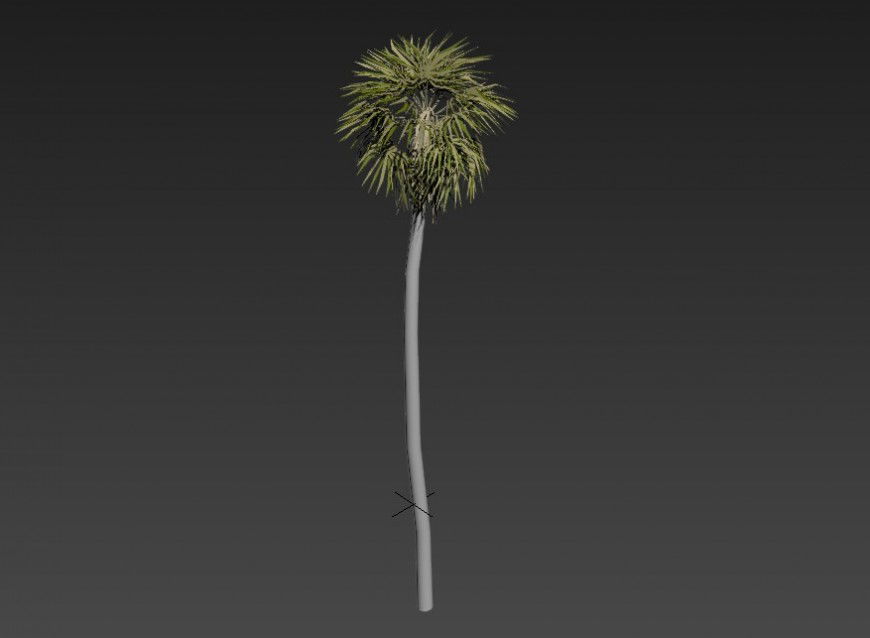 Palm tree CAD blocks detail 3d model layout 3d max file
