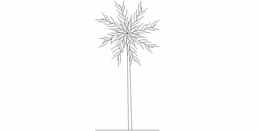 Palm tree elevation with single design view of tree dwg file