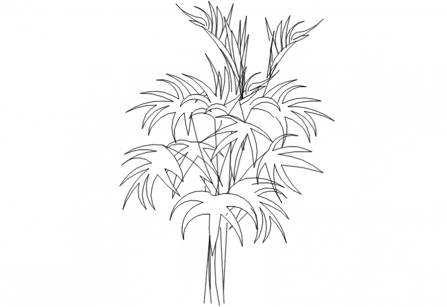 Palm trees 2d concept files details