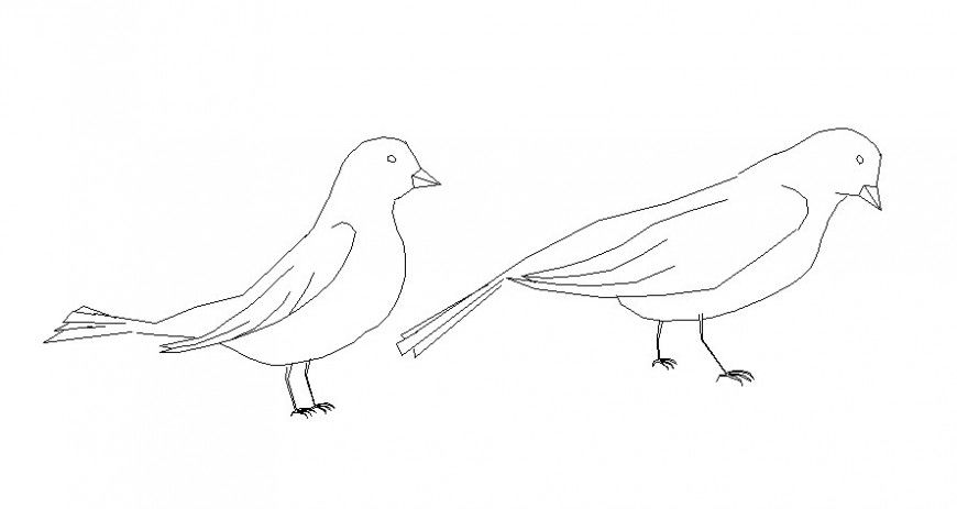 Pigeon drawings 2d view elevation of birds blocks dwg autocad file