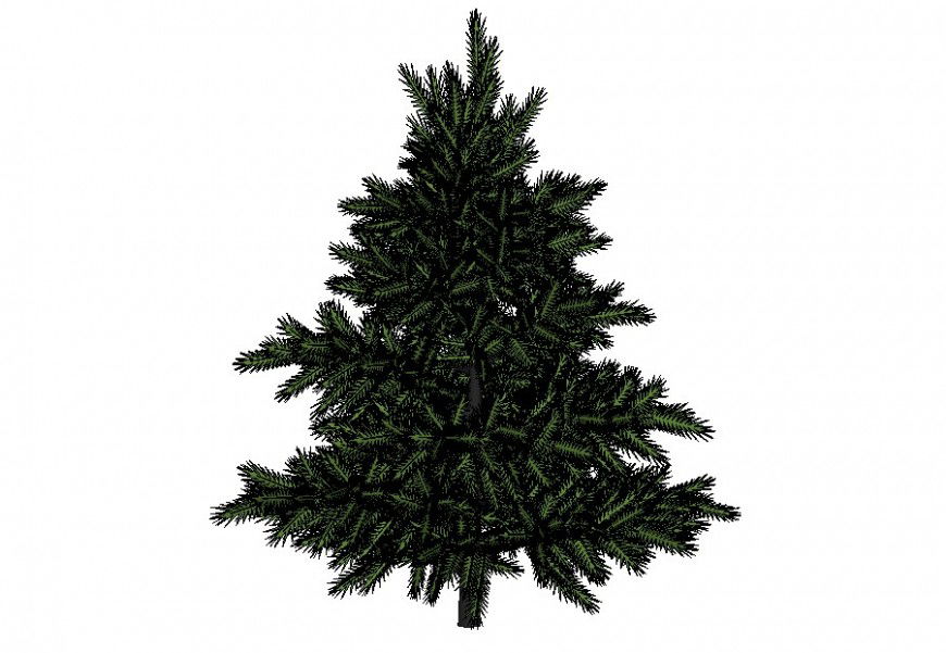 Pine tree detail 3d model layout CAD blocks sketch-up file