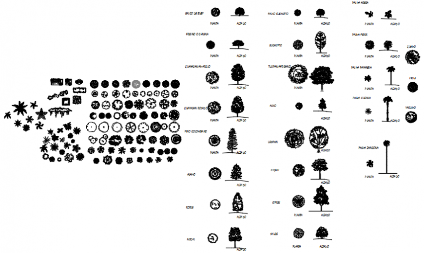 Plan and elevation of different tree block in AutoCAD file