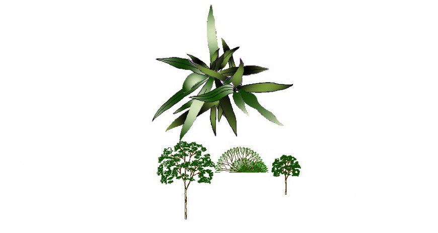 Plan and elevation of different tree with plant block in AutoCAD