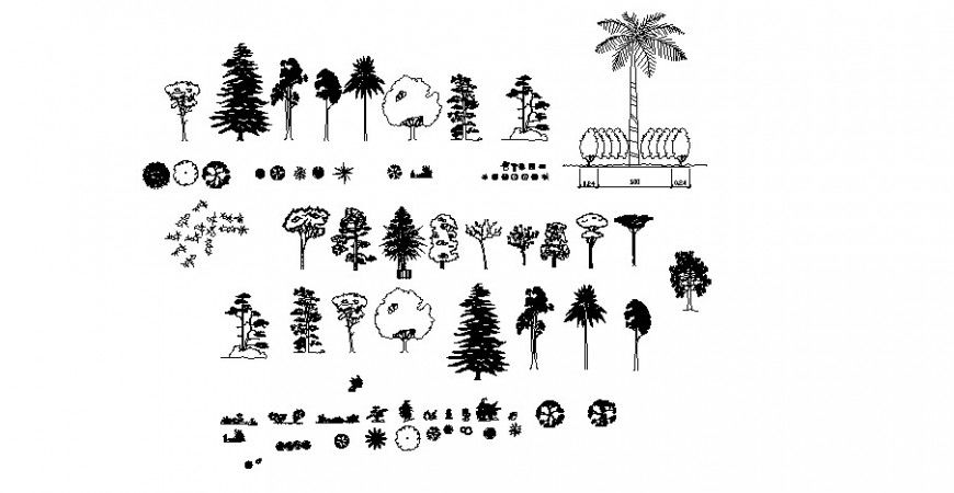 Plan and elevation of many tree block in AutoCAD