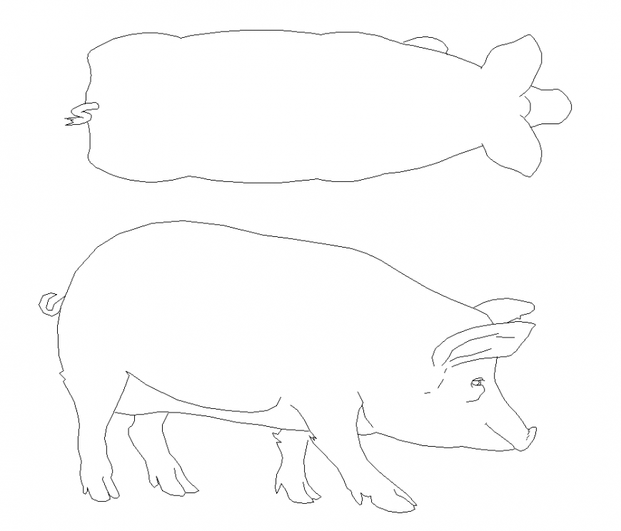 Plan and elevation of pig with detail of block for animal dwg file