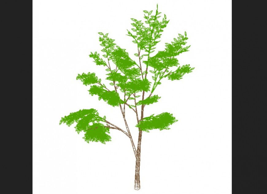 Plan of a tree detail dwg file.