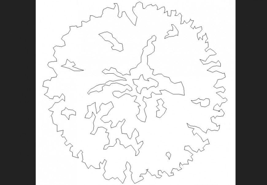 Plan of a tree with detail dwg file.