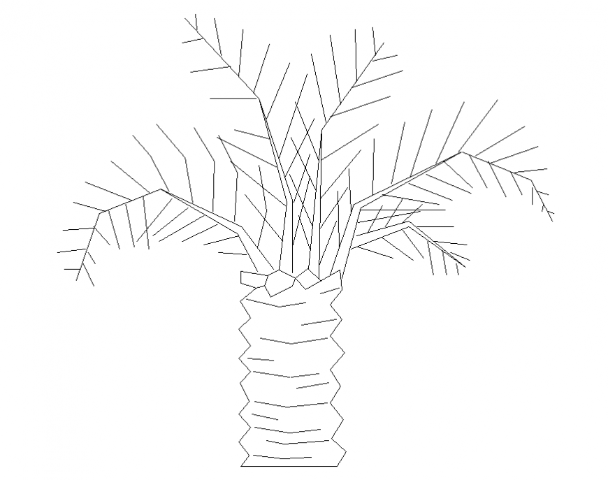 Prospectus palm tree front view cad block details dwg file