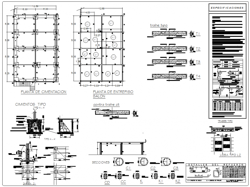 Salon uses multiple columns with banded section plan dwg file