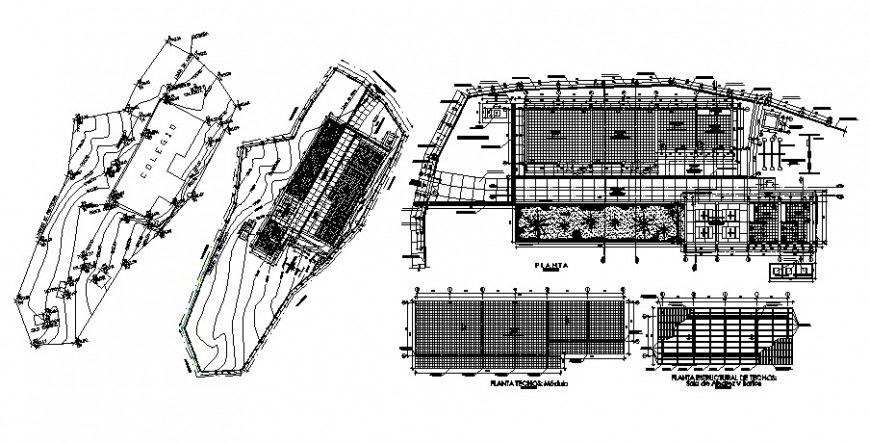 School building site layout plan and distribution plan cad drawing details dwg file
