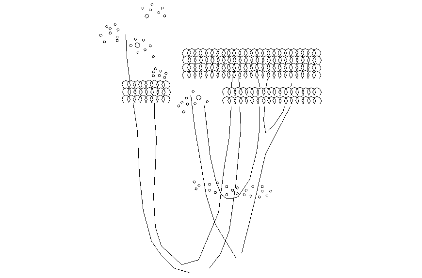 Shrub elevation 2 d detail autocad file