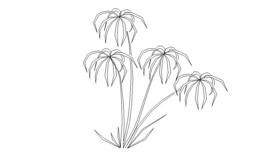 Shrubs details landscaping plants drawing in autocad