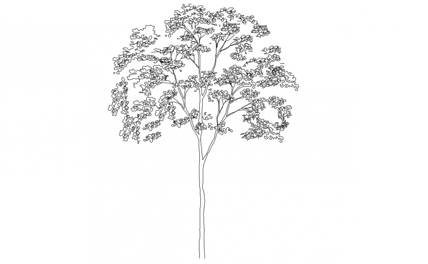 Simple tree elevation 2d block drawing details dwg file