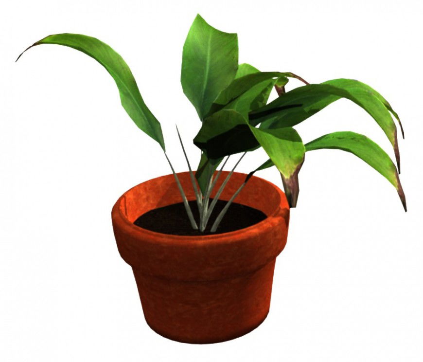 Single 3d tree plant with vase cad drawing details jpg file