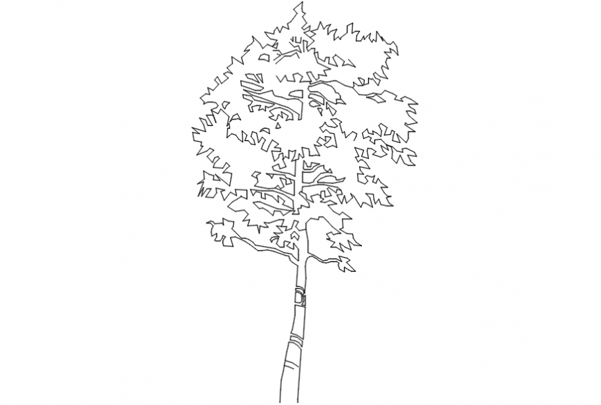 Single common tree elevation 2d block drawing details dwg file