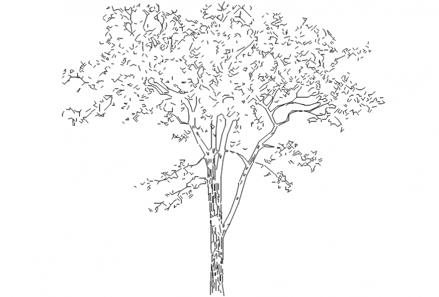 Single garden 2d tree elevation block details dwg file
