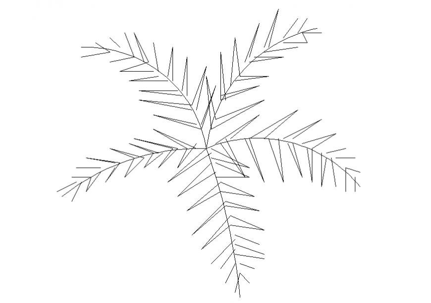 Single palm tree top view block elevation cad drawing details dwg file